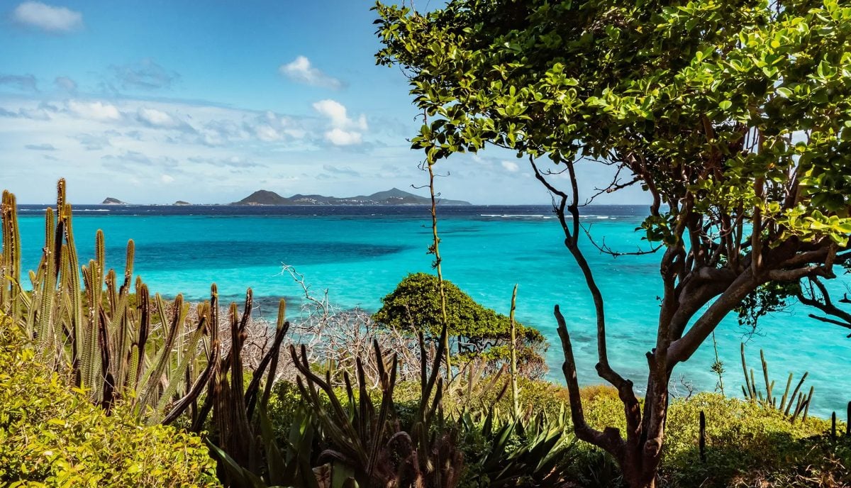 Caribbean island coastline with cactus, turquoise sea, and tropical views.