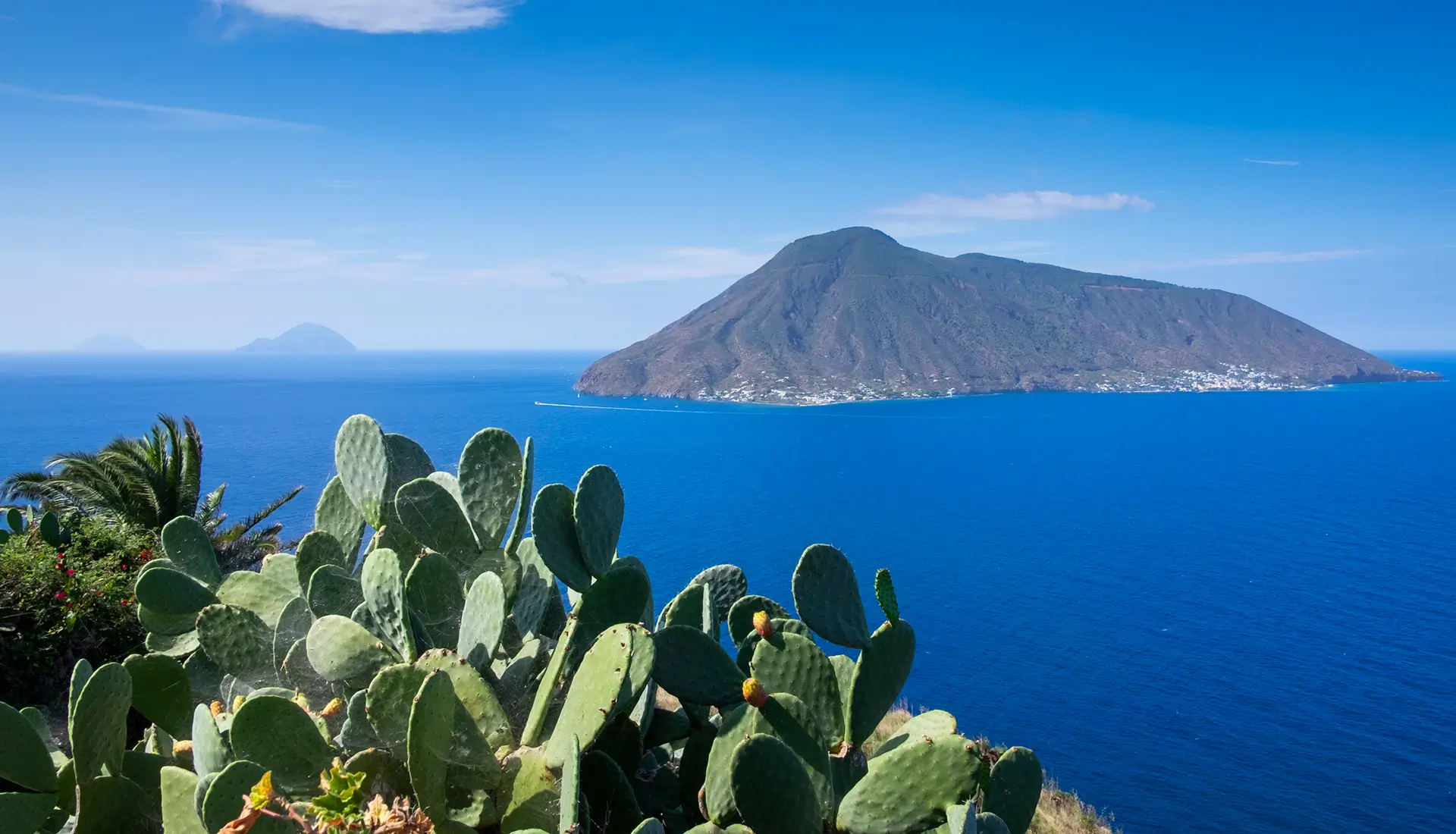 Salina island volcanic peak viewed from sea with cactus and Mediterranean vegetation in foreground