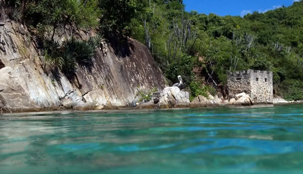 Pelican at Little Harbour showing historic ruins and turquoise water at Peter Island, British Virgin Islands