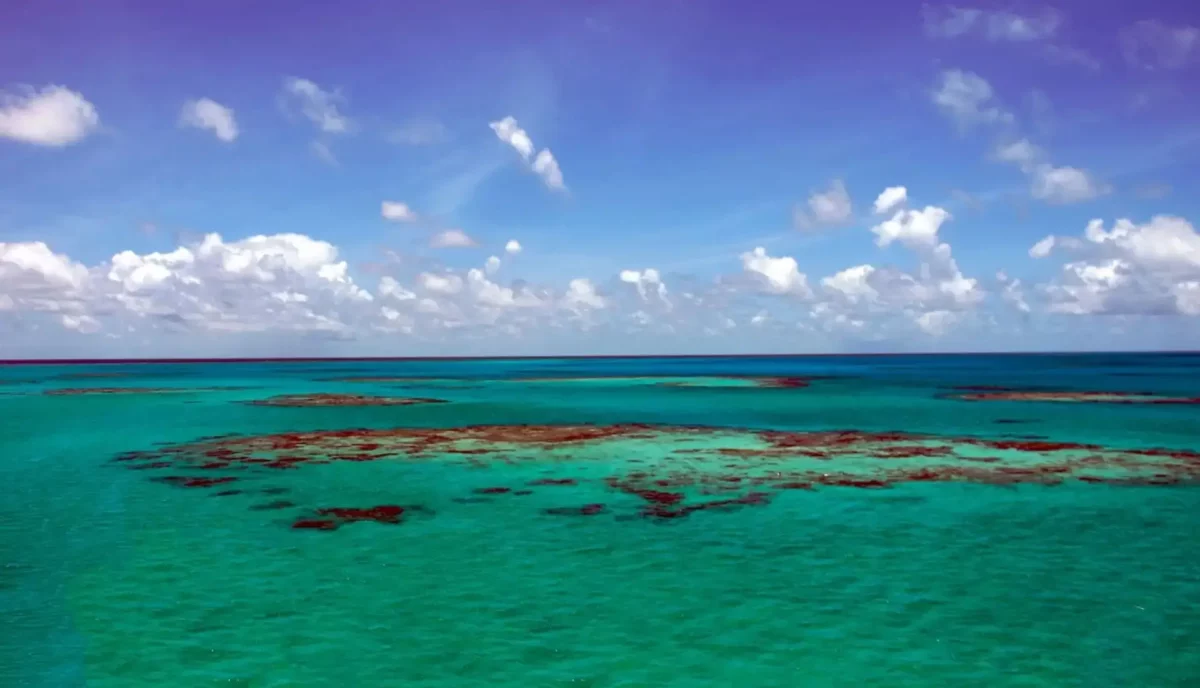Aerial drone view of Horseshoe Reef at Anegada BVI showing coral patches in turquoise shallow water