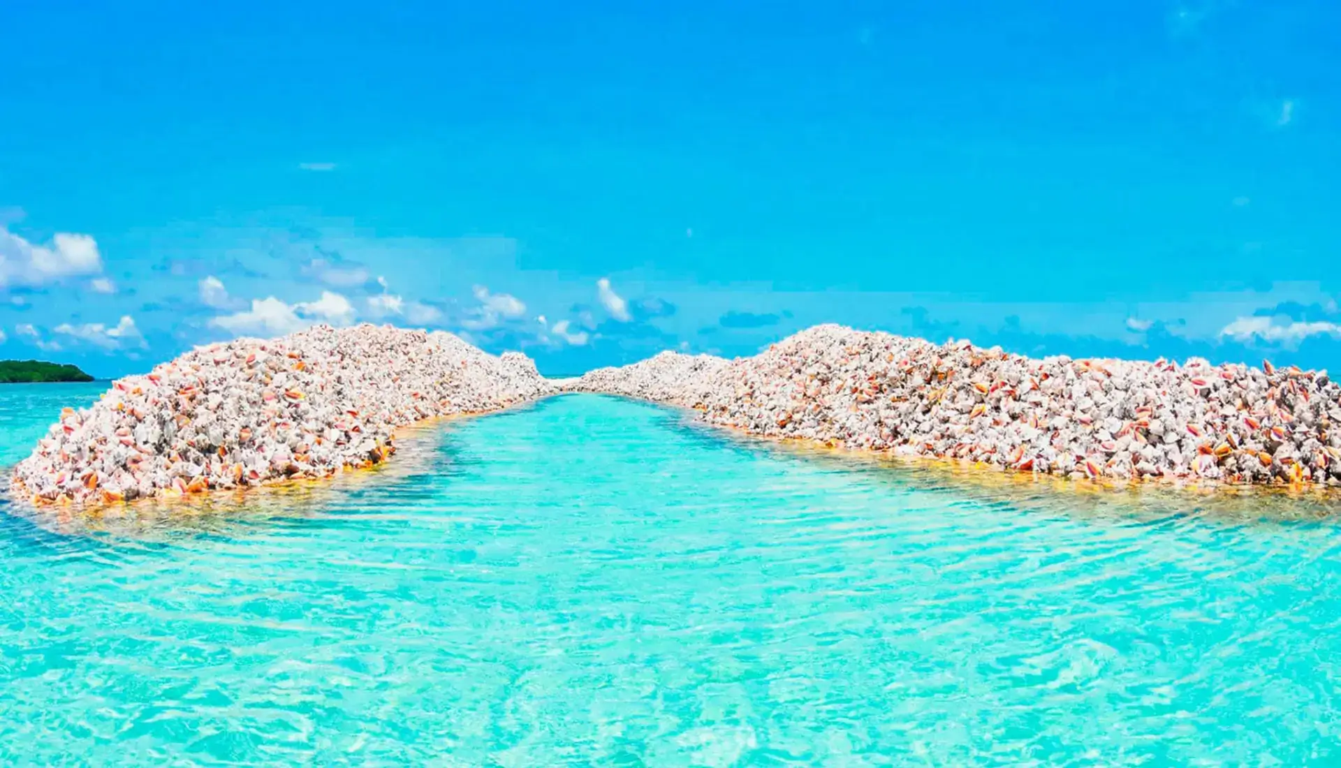 Conch Mountain shell pile at Anegada, BVI