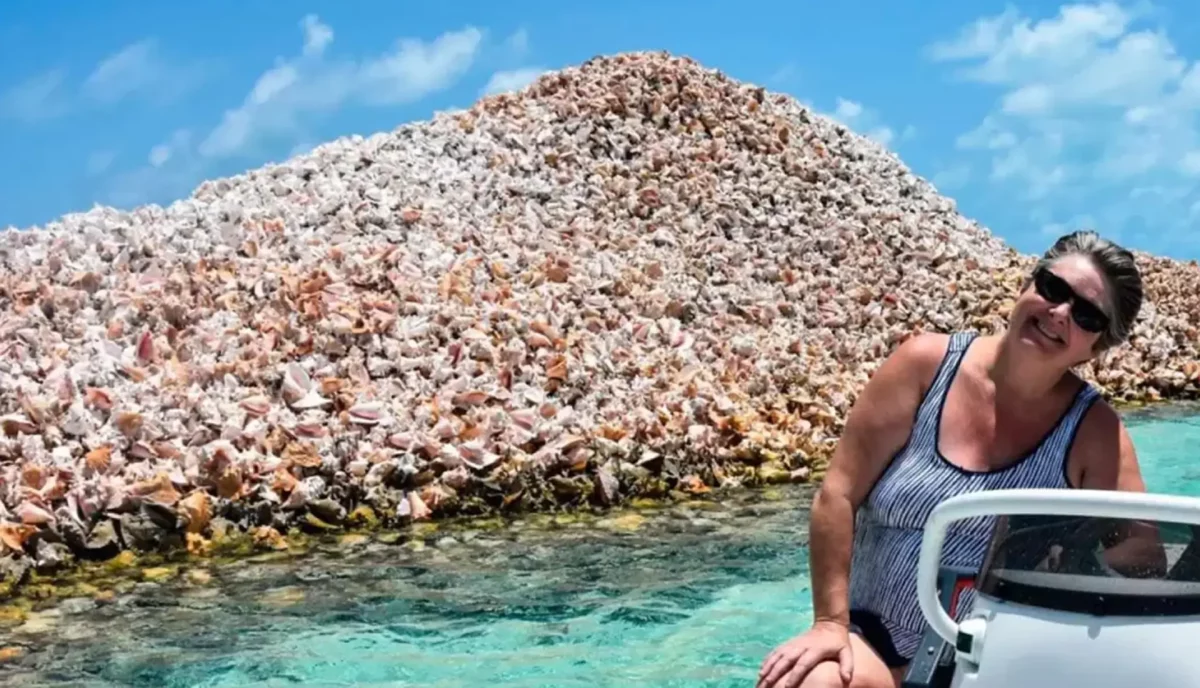Guests visiting Conch Mountain on a tender trip to Anegada, BVI