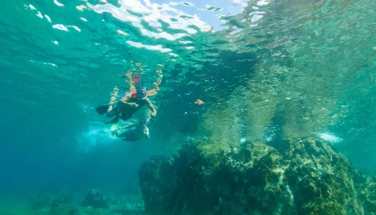 Snorkeler exploring shallow coral reef at Salt Island in the British Virgin Islands