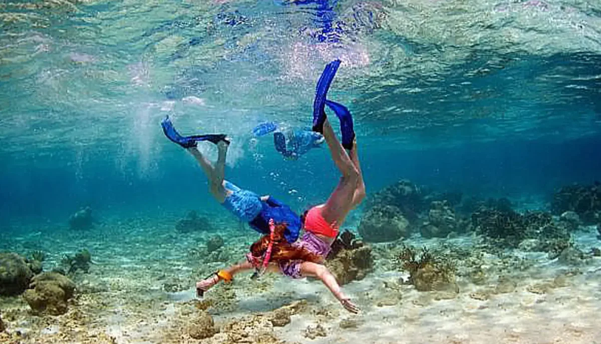 Two snorkelers diving down over coral reef at Eustatia Sound Virgin Gorda BVI