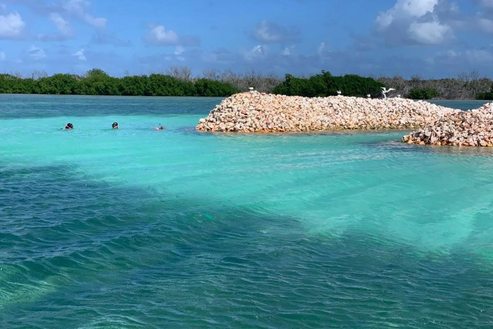 Guests snorkeling at Conch Mountain, Anegada BVI