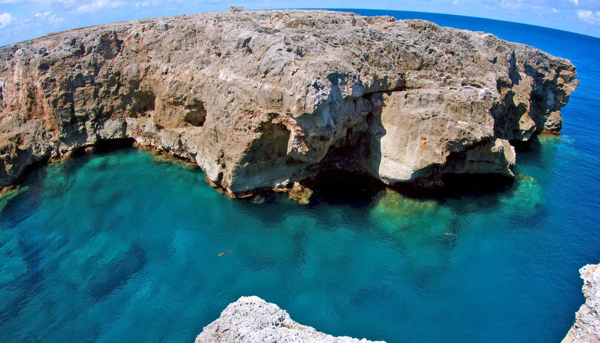 Sharks visible in the crystal clear water at Sombrero Island