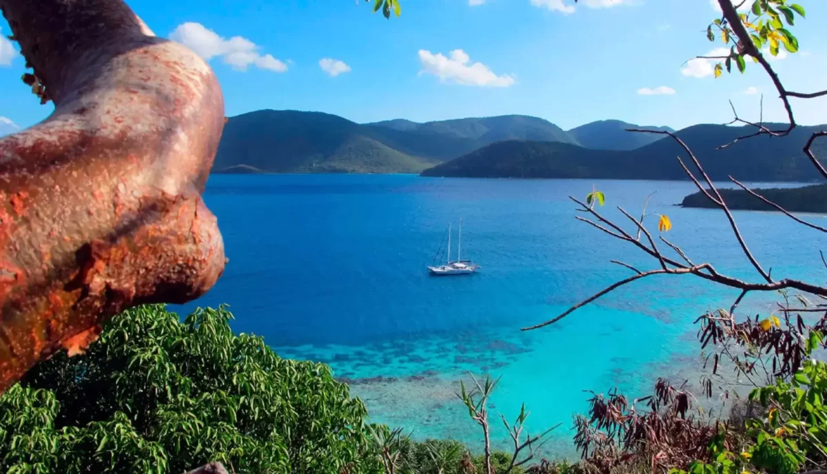 Sailboat anchored at Great Thatch Island, Tortola BVI, viewed through tropical foliage and rock formations