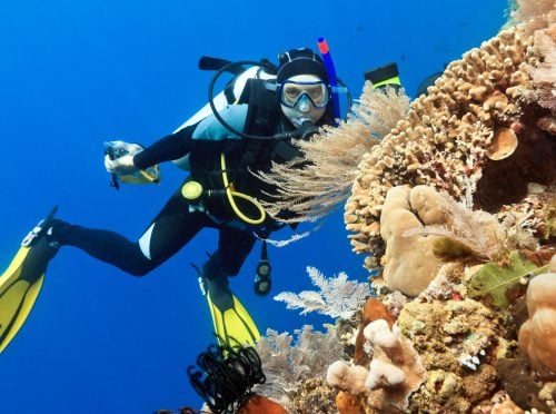 Scuba diver underwater close to coral reef