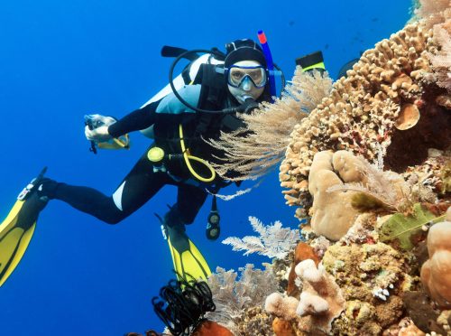 Scuba diver in the Caribbean, next to a coral reef.