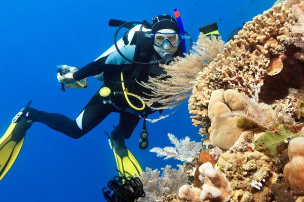 Scuba diver in the Caribbean, next to a coral reef.