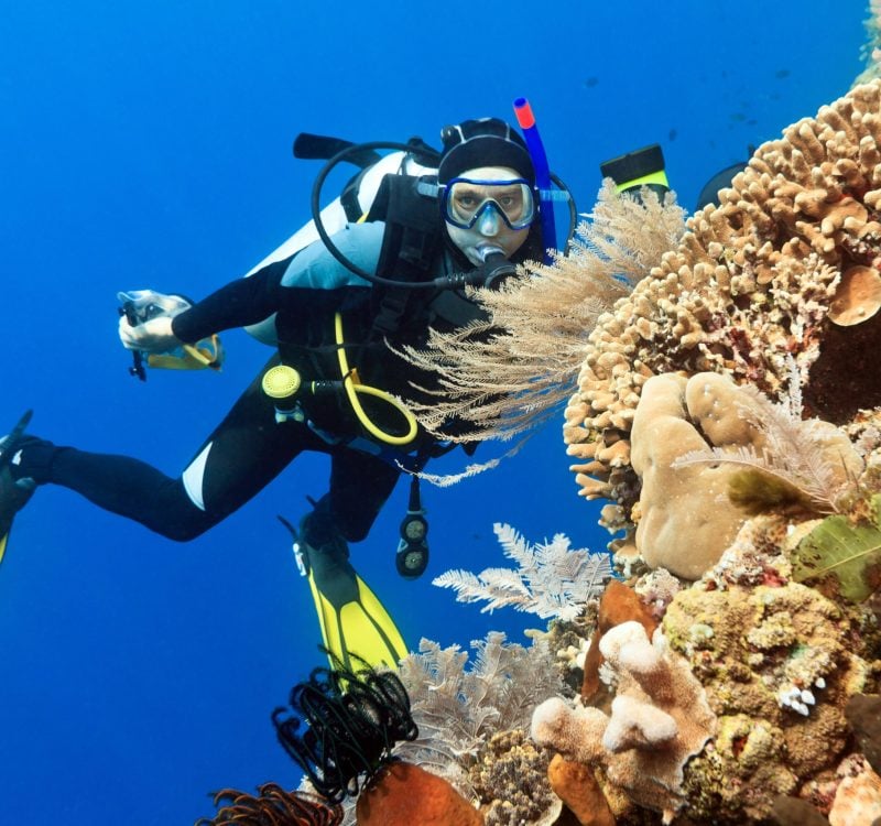 Scuba diver Scuba diver in the Caribbean, next to a coral reef.