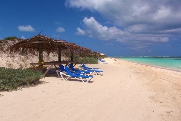 anegada_beach_club anegada_beach_club