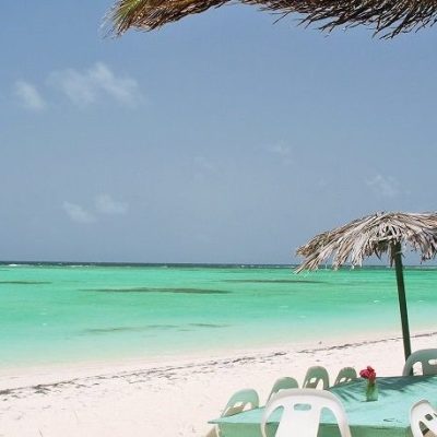 anegada_cow_wreck_table anegada_cow_wreck_table