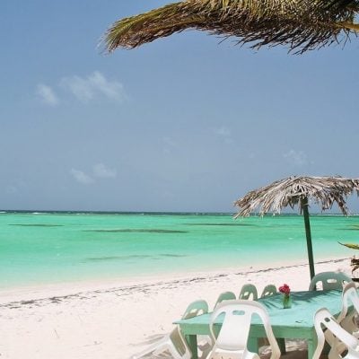 anegada_cow_wreck_table anegada_cow_wreck_table