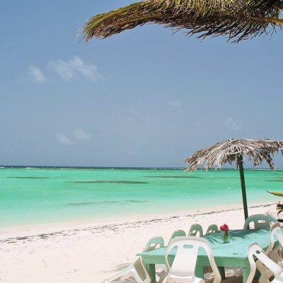 anegada_cow_wreck_table anegada_cow_wreck_table