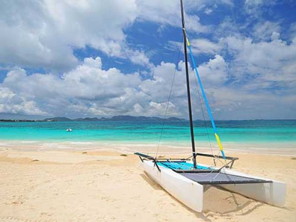 anguilla anguilla