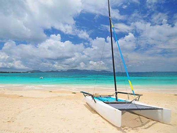 anguilla anguilla
