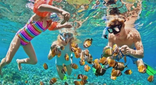 batch_catamaran_mucho_gusto_snorkeling batch_catamaran_mucho_gusto_snorkeling