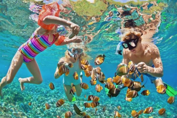 batch_catamaran_mucho_gusto_snorkeling batch_catamaran_mucho_gusto_snorkeling