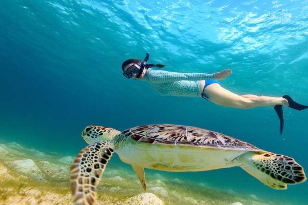 Woman snorkeling with sea turtles while vacationing to Antigua & Barbuda on a yacht charter.