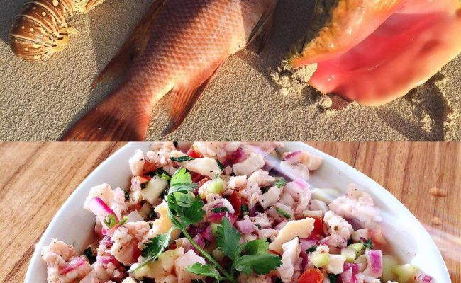 catamaran_doris_cuisine5