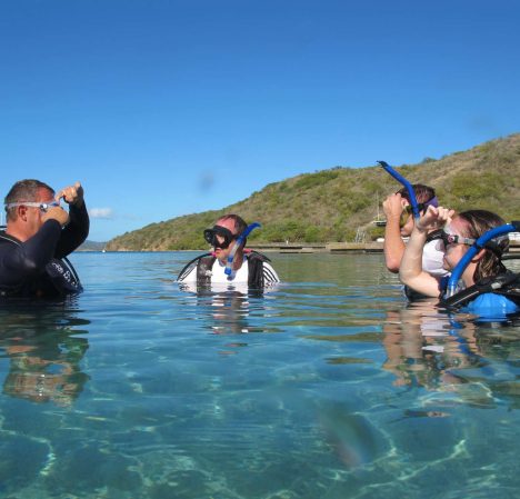 catamaran_the_big_dog_scuba_dive