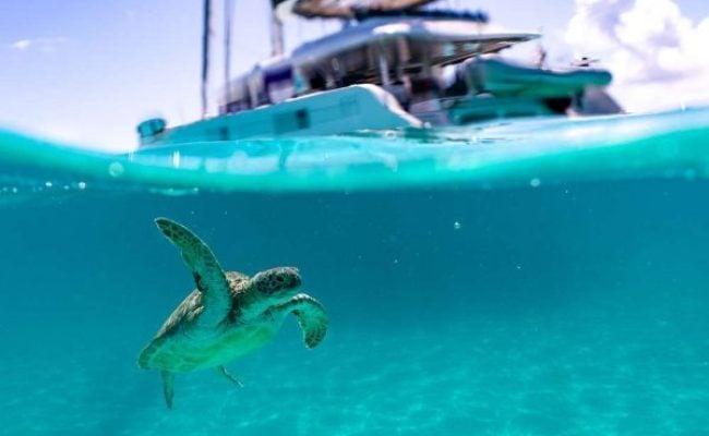 Turtle underwater catamaran Turtle underwater catamaran