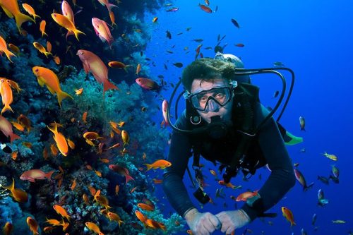 diving diving