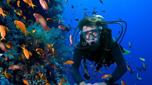 diving diving