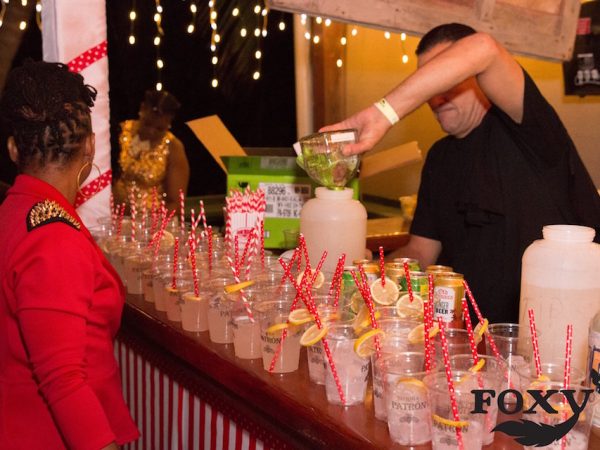 foxys_party foxys_party