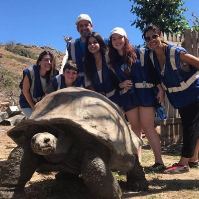 giant_tortoise_2 giant_tortoise_2