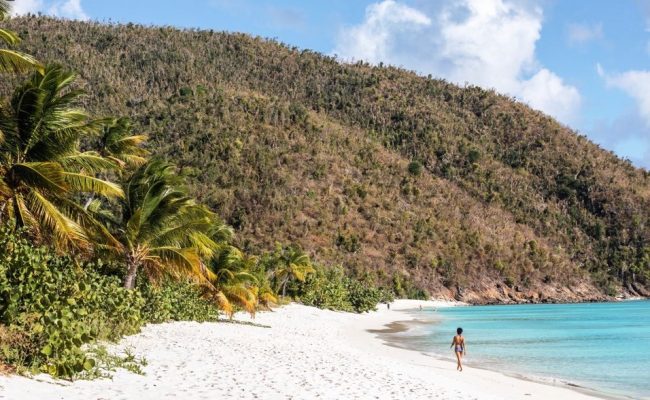 guana_island_beach guana_island_beach