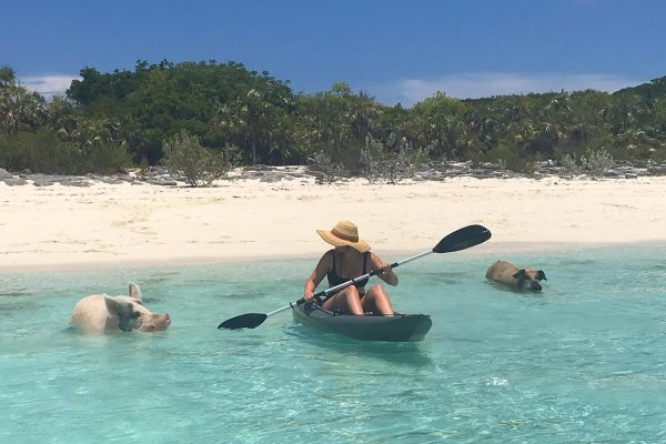 kayaking-with-piggies