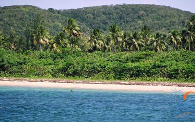mosquito-pier-beaches-vieques-puerto-rico mosquito-pier-beaches-vieques-puerto-rico