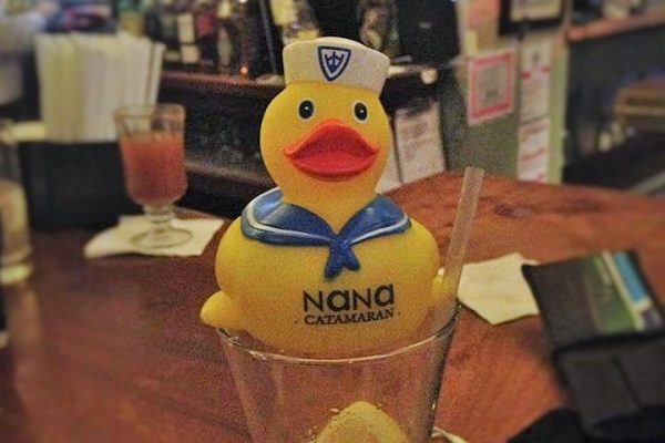 nana_duck-1 nana_duck-1