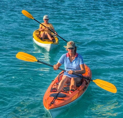 power_catamaran_pegasus_kayaks power_catamaran_pegasus_kayaks