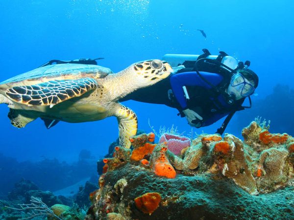 scuba scuba
