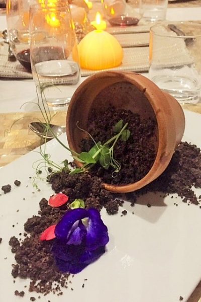xeniaflowerpotdesert xeniaflowerpotdesert
