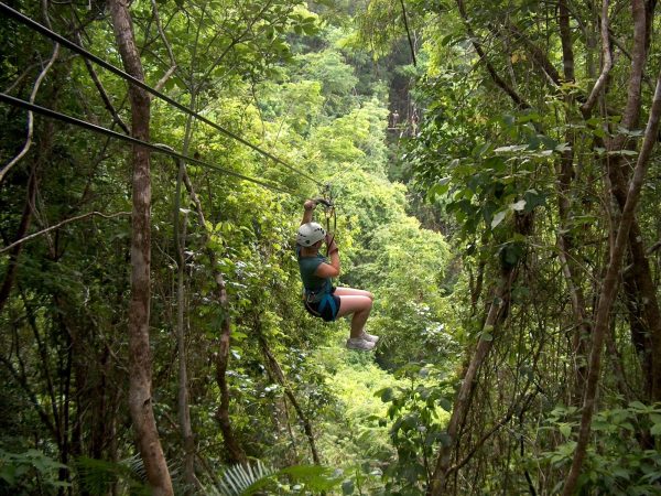 zip-line_blog zip-line_blog